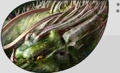 2 IMAGES