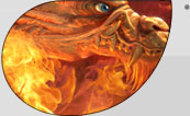 1 IMAGE