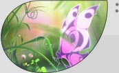 2 IMAGES