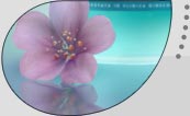6 IMAGES